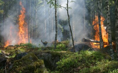 Sklep o uvedbi požarne straže 20.7.2022 in razglas velike požarne ogroženosti naravnega okolja